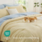 Dual-Tone Bed-in-a-Bag