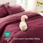 Dual-Tone Bed-in-a-Bag
