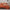 100% Jersey Knit Cotton Duvet Cover