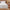Coral Fleece Heated Mattress Pad