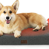 Large Orthopedic Washable Dog Bed S