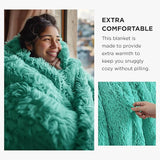 Bedsure Fuzzy Faux Fur Blanket