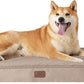 Large Orthopedic Washable Dog Bed