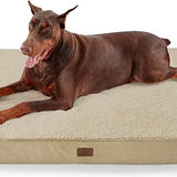 Large Orthopedic Washable Dog Bed S