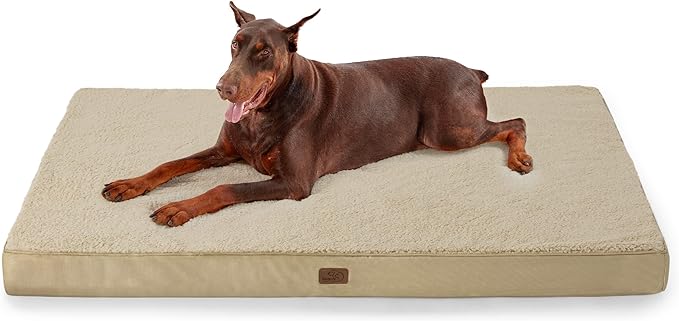 Large Orthopedic Washable Dog Bed