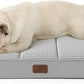 Egg Crate Foam Dog Bed
