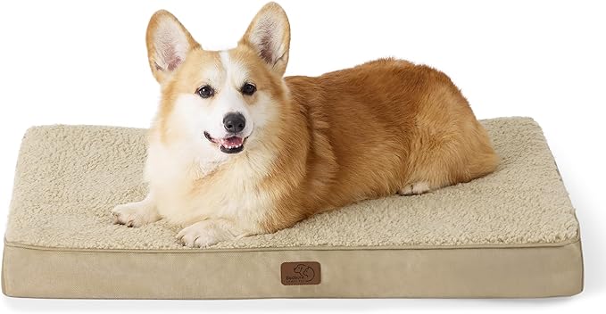 Large Orthopedic Washable Dog Bed