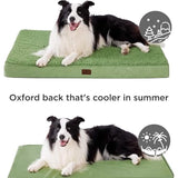 Large Orthopedic Washable Dog Bed S