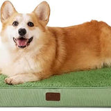 Large Orthopedic Washable Dog Bed S