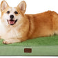 Large Orthopedic Washable Dog Bed