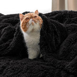 Bedsure Fuzzy Faux Fur Blanket