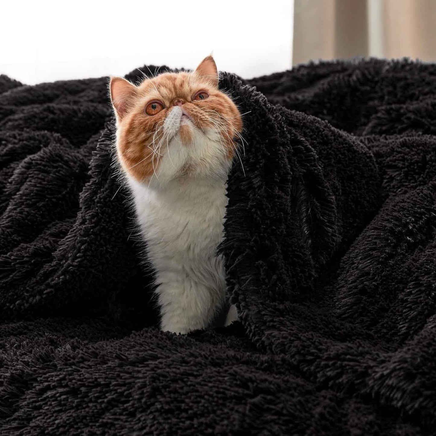 Fuzzy Faux Fur Blanket