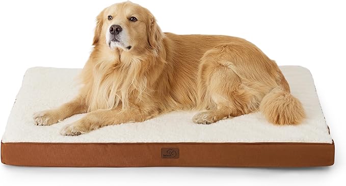 Large Orthopedic Washable Dog Bed