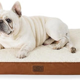 Large Orthopedic Washable Dog Bed S