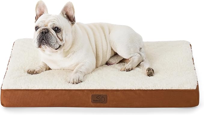 Large Orthopedic Washable Dog Bed S