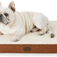 Large Orthopedic Washable Dog Bed