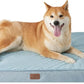 Large Orthopedic Washable Dog Bed