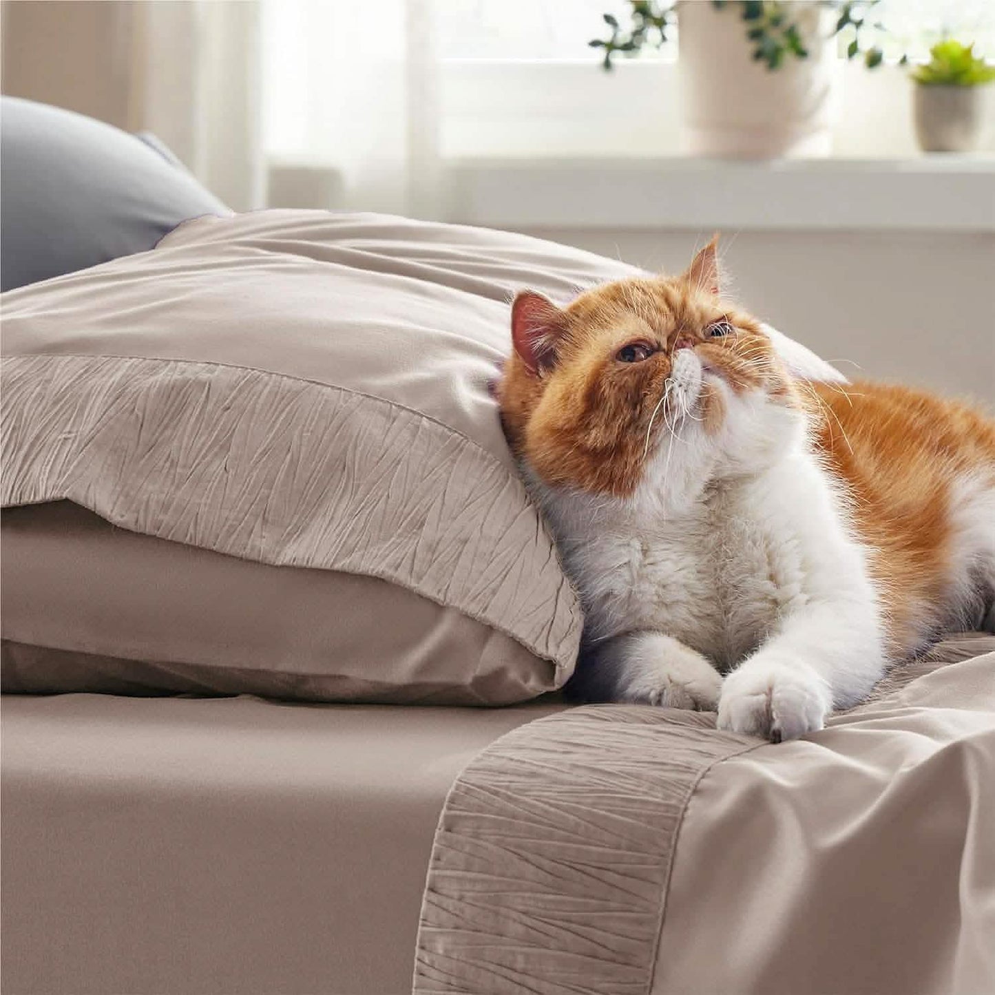 Ruched Sheet Set
