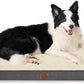 Large Orthopedic Washable Dog Bed