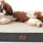 Large Orthopedic Washable Dog Bed