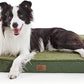 Large Orthopedic Washable Dog Bed