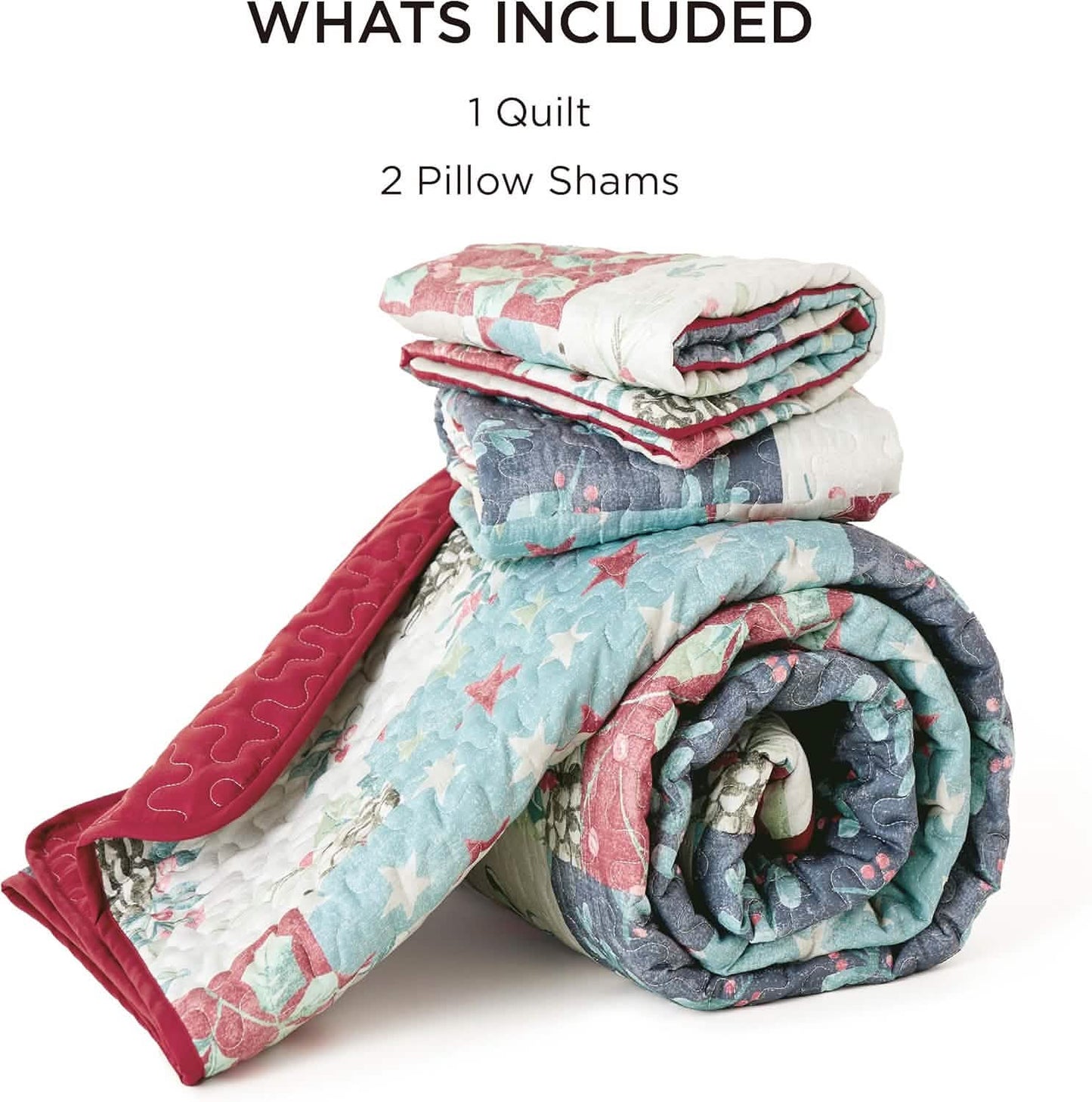Christmas Modern Patchwork Quilt Set Plant