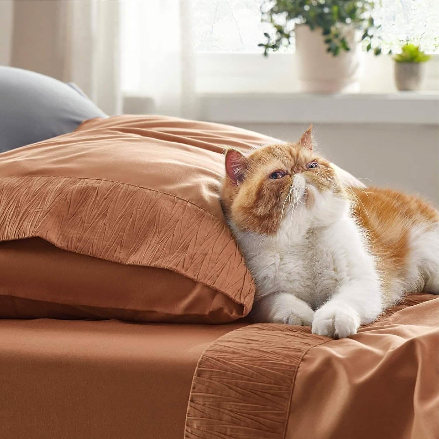 Ruched Sheet Set