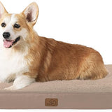 Large Orthopedic Washable Dog Bed S