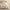 Tufted Embroidery Duvet Cover Set