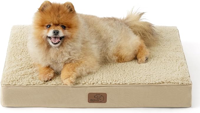 Large Orthopedic Washable Dog Bed