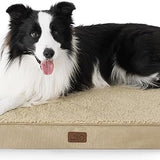 Large Orthopedic Washable Dog Bed S