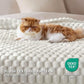 Textured Bubble Flannel Fleece Blanket
