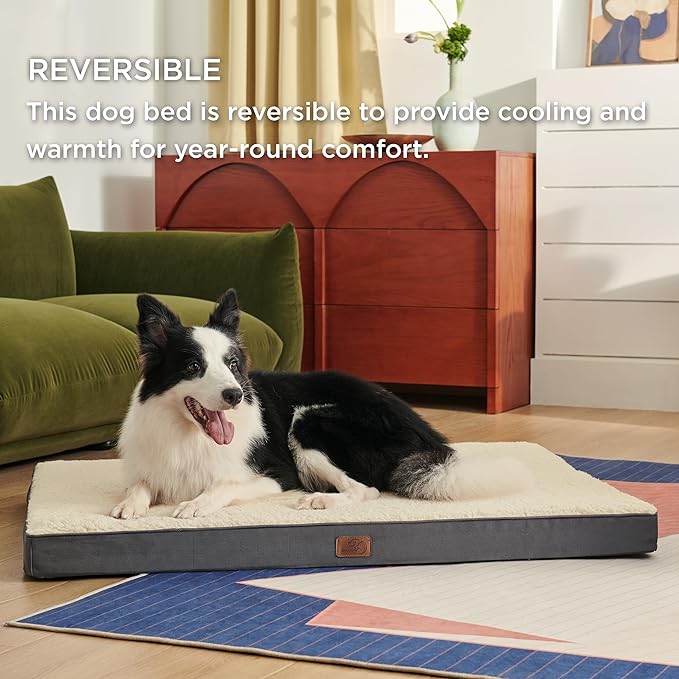 Large Orthopedic Washable Dog Bed