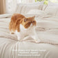 Rainbow Stripe Comforter Set