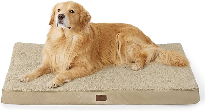 Large Orthopedic Washable Dog Bed