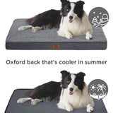 Large Orthopedic Washable Dog Bed S