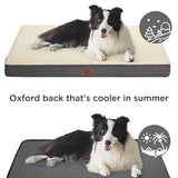 Large Orthopedic Washable Dog Bed S