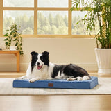 Large Orthopedic Washable Dog Bed S