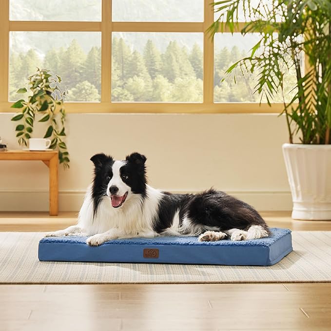 Large Orthopedic Washable Dog Bed
