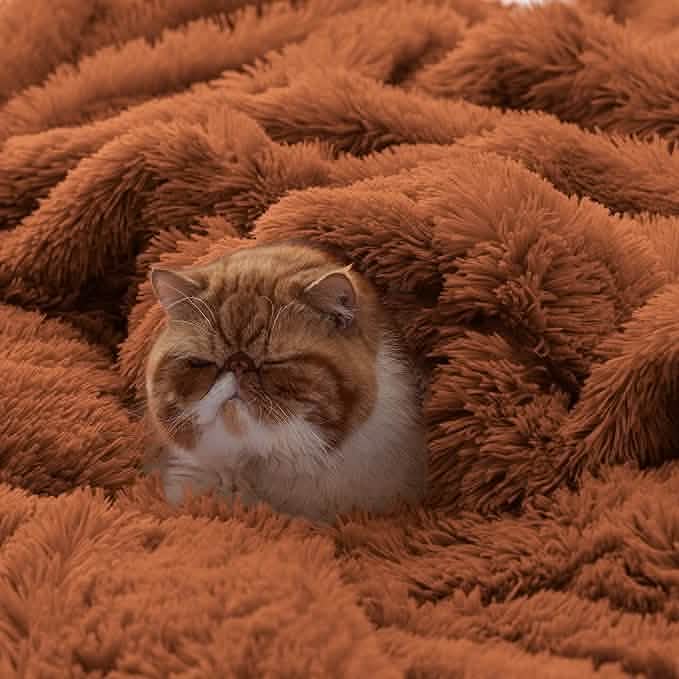 Fuzzy Faux Fur Blanket