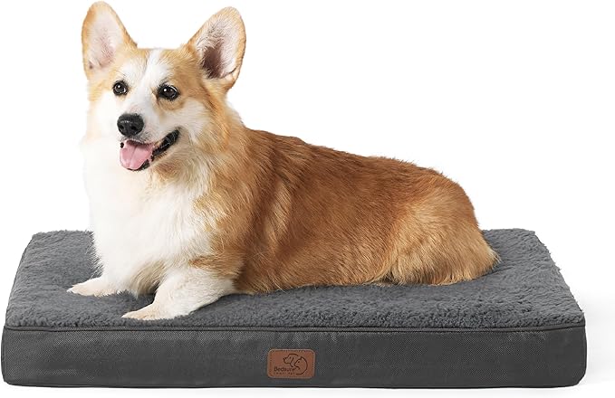 Large Orthopedic Washable Dog Bed S