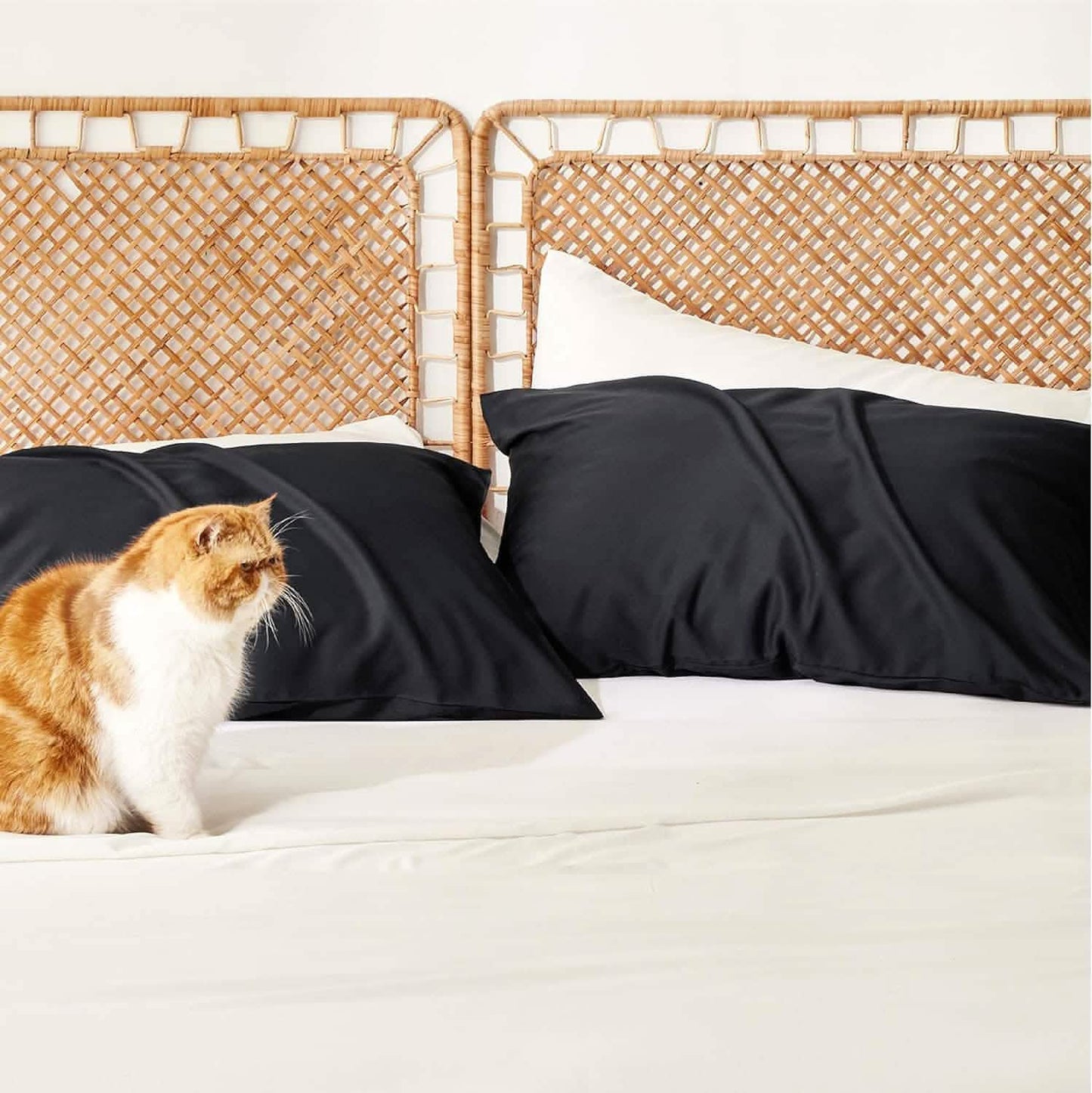 Pillow Cases Set