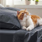 Ruched Sheet Set