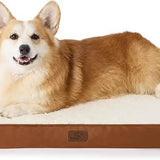 Large Orthopedic Washable Dog Bed S