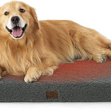 Large Orthopedic Washable Dog Bed S