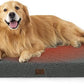 Large Orthopedic Washable Dog Bed