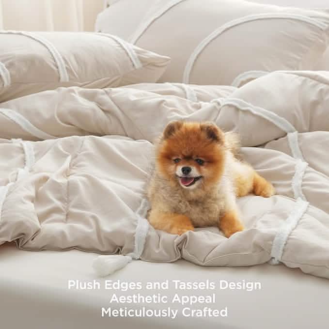 Rainbow Stripe Comforter Set Beige