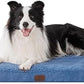 Large Orthopedic Washable Dog Bed