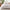 Exotic Foliage Pink Comforter Set