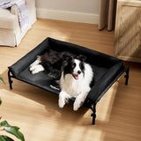 Elevated Dog Cot Bed with Breathable Mesh